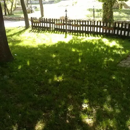 Family Rai-only Adults 3* Золотые Пески